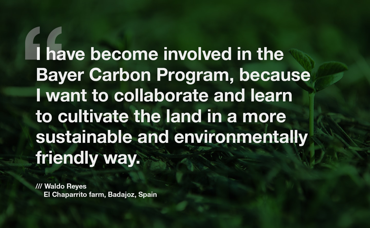 European Carbon Program | Bayer global